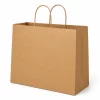 Large brown kraft carrier bag with twisted paper handles